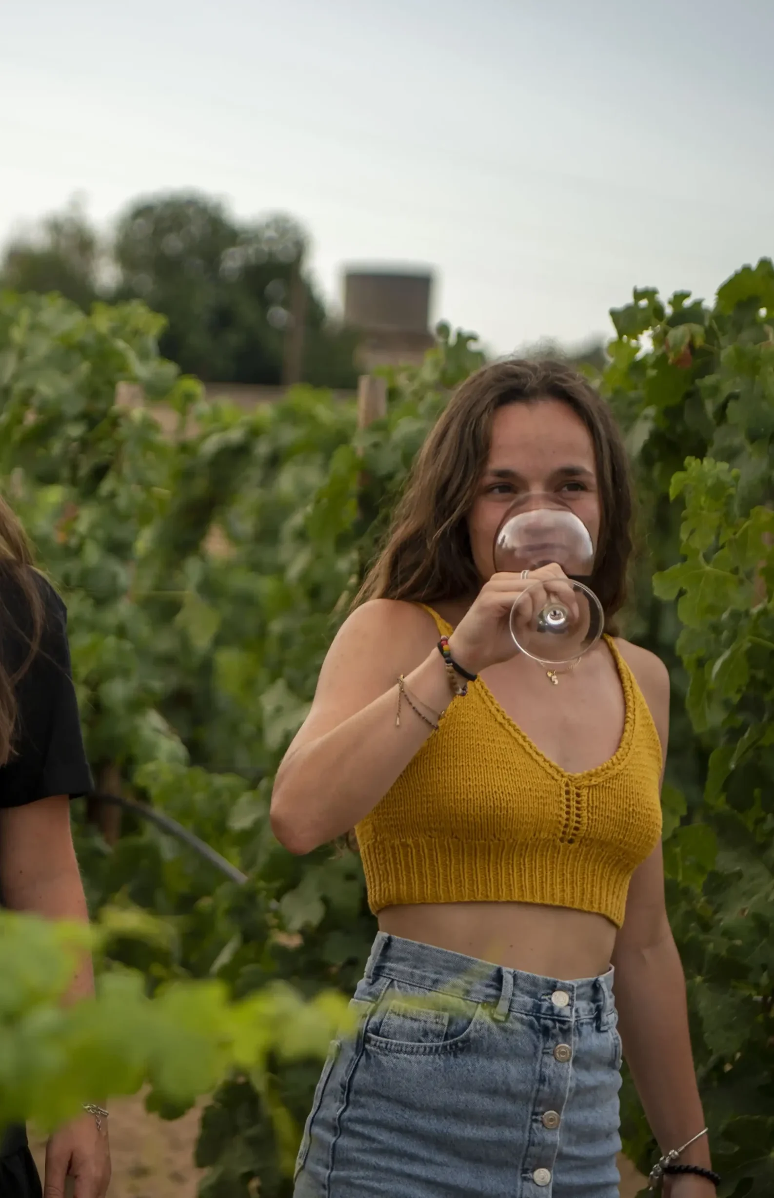 ©EstudiTardet_DWG141